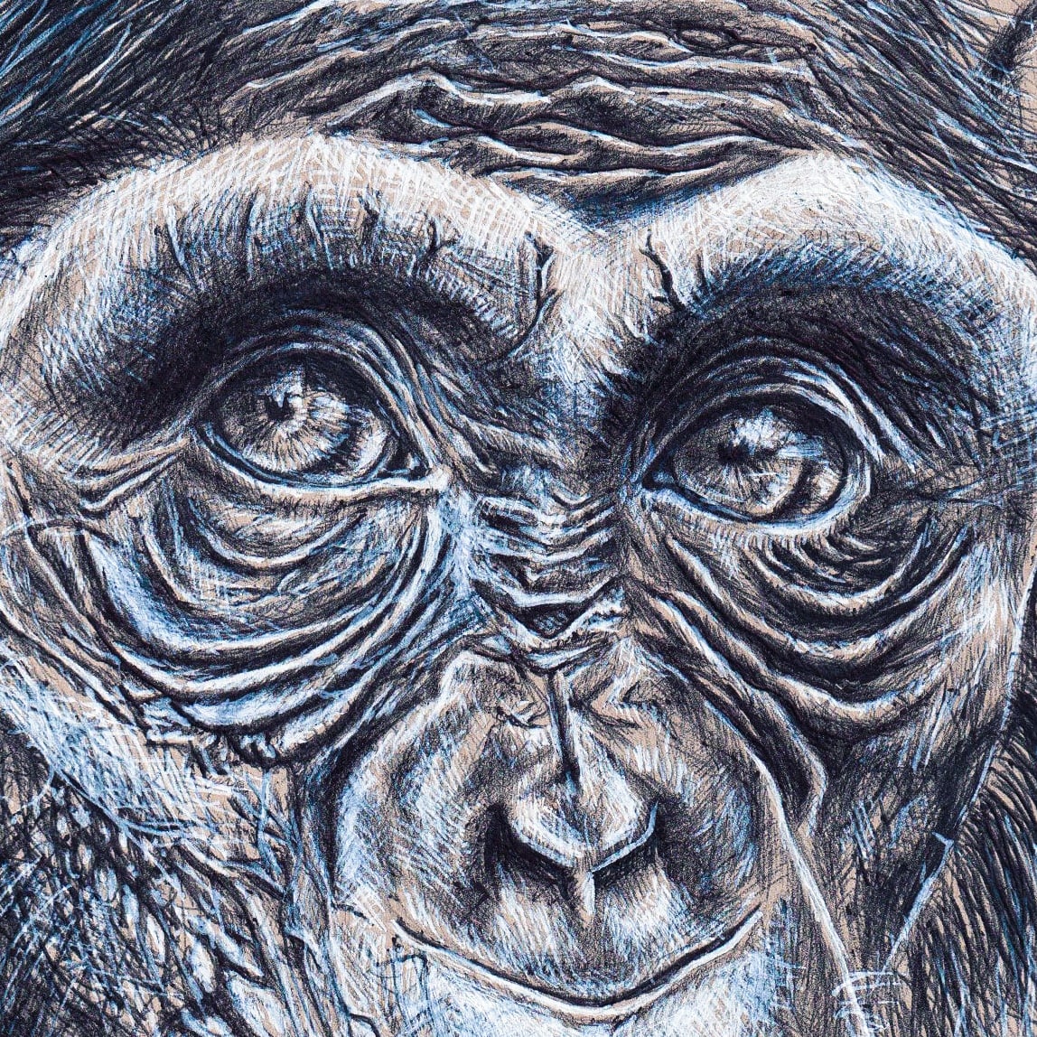 Caesar thumbnail 2