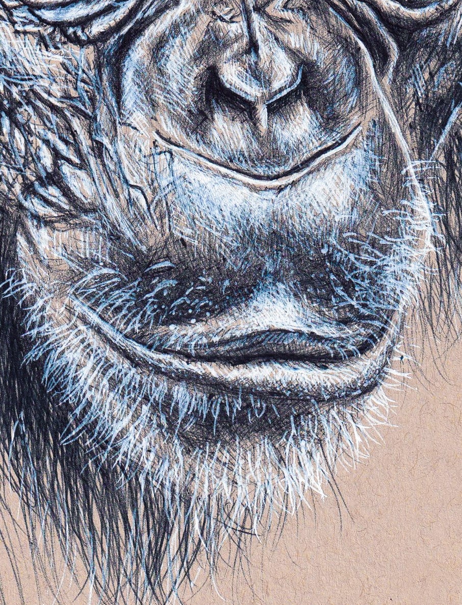 Caesar thumbnail 3