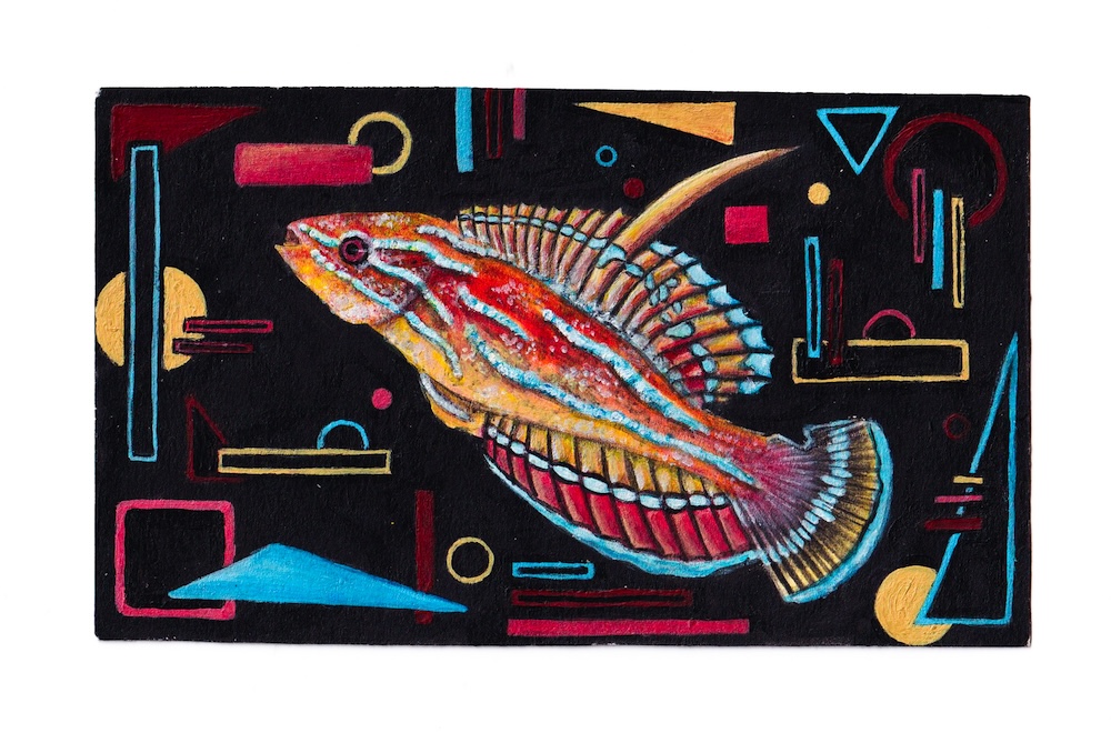Fish Card