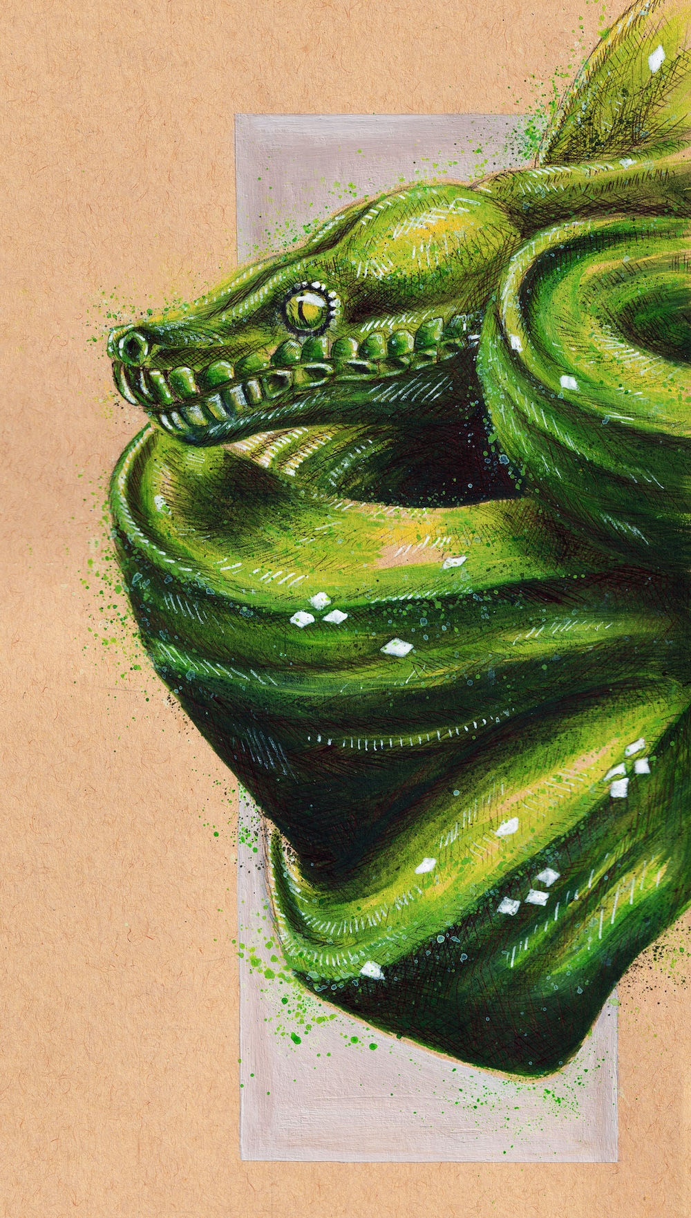 Green Snake Mixed Media