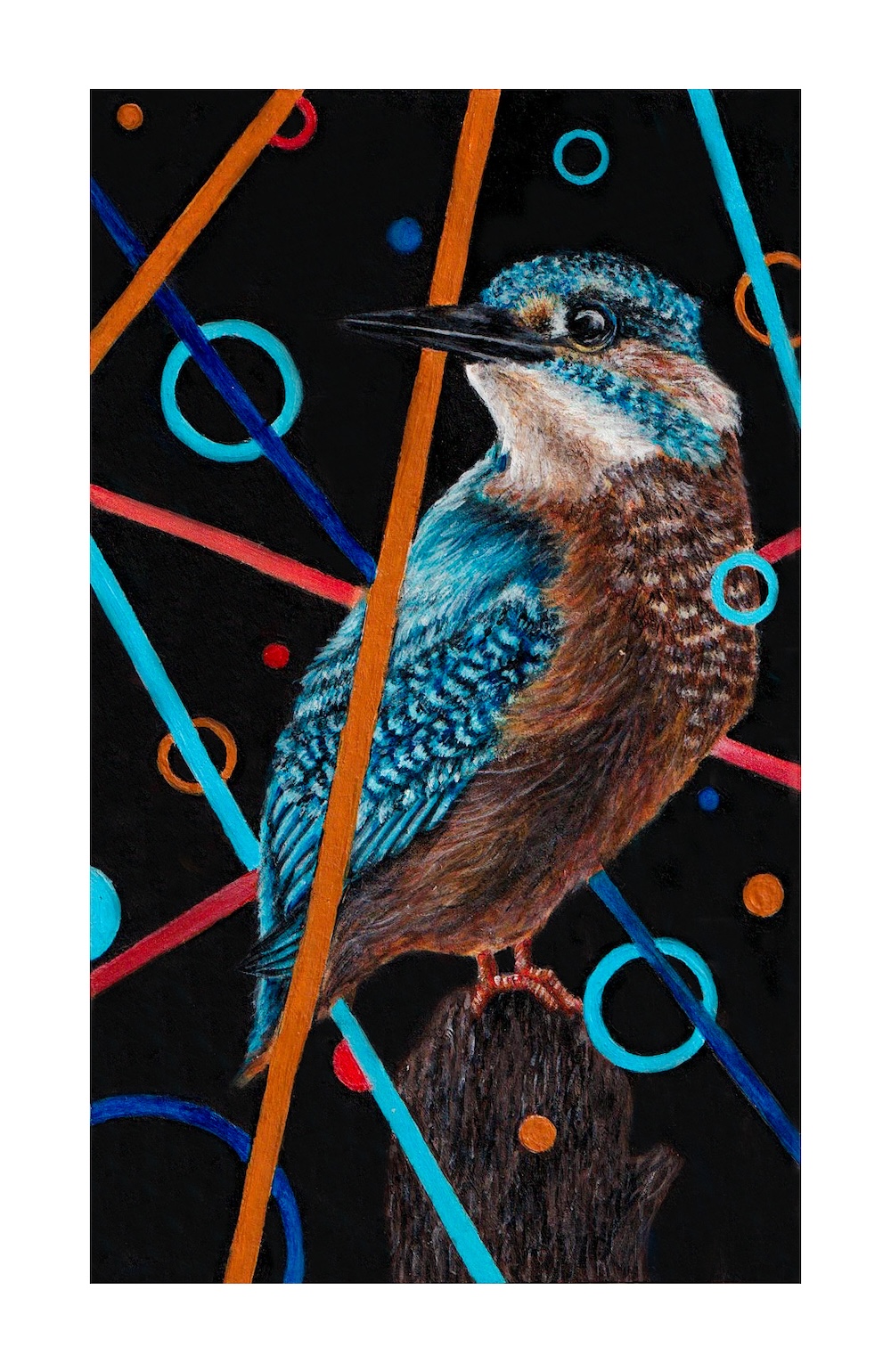Kingfisher Card