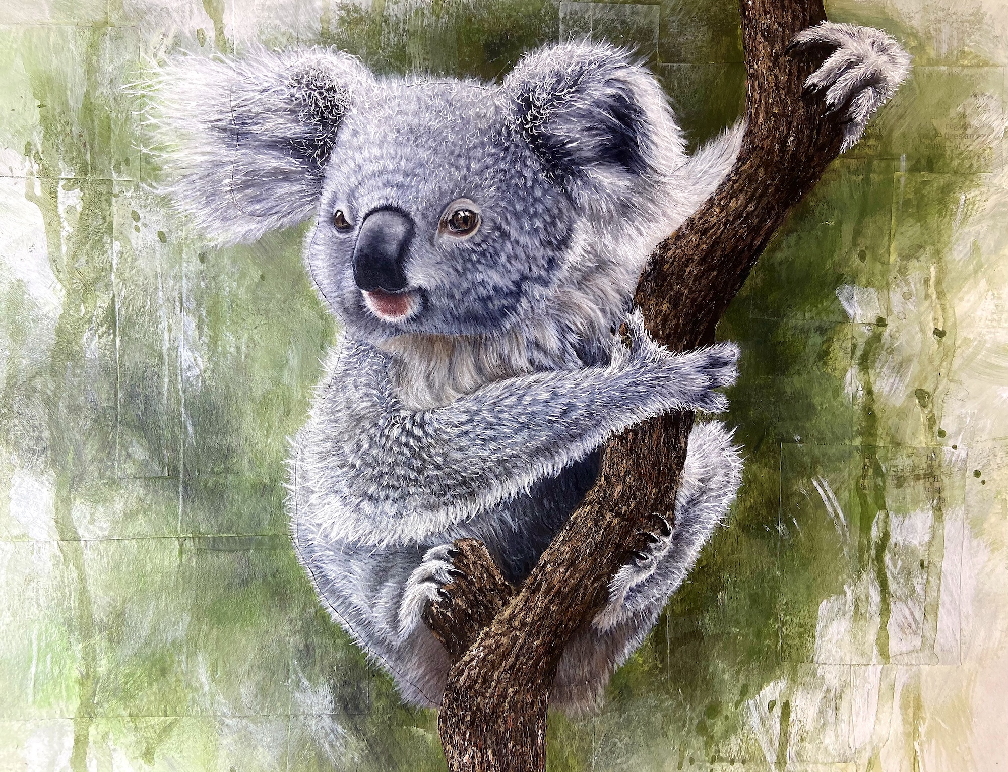 Koala Piece