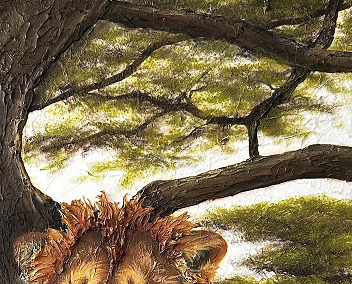 Lions thumbnail 5