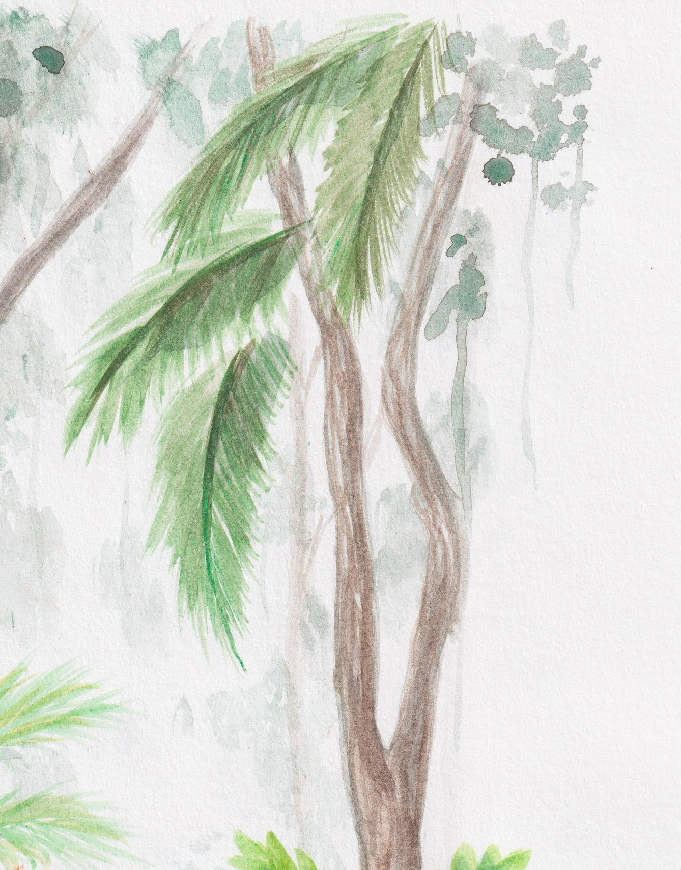 Monkeys in the Jungle thumbnail 3