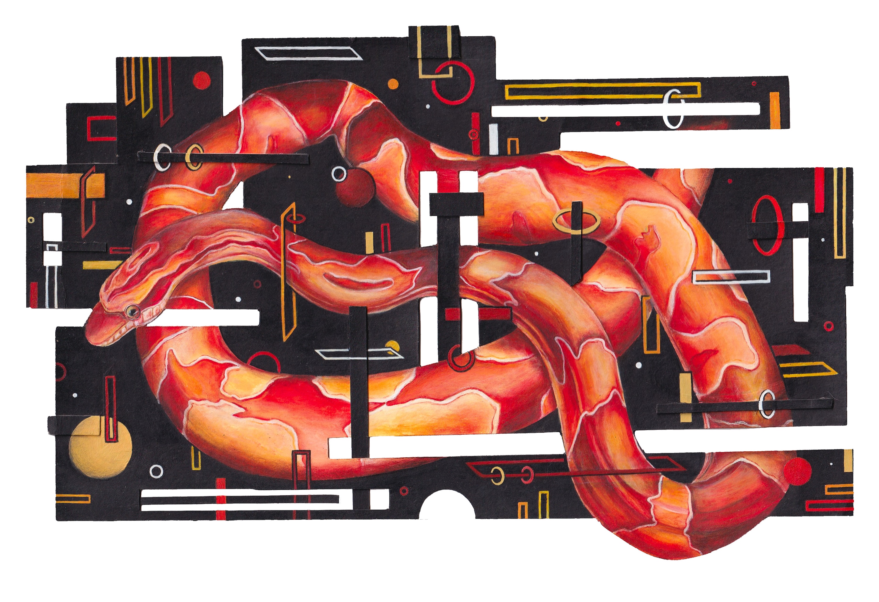 Orange Snake