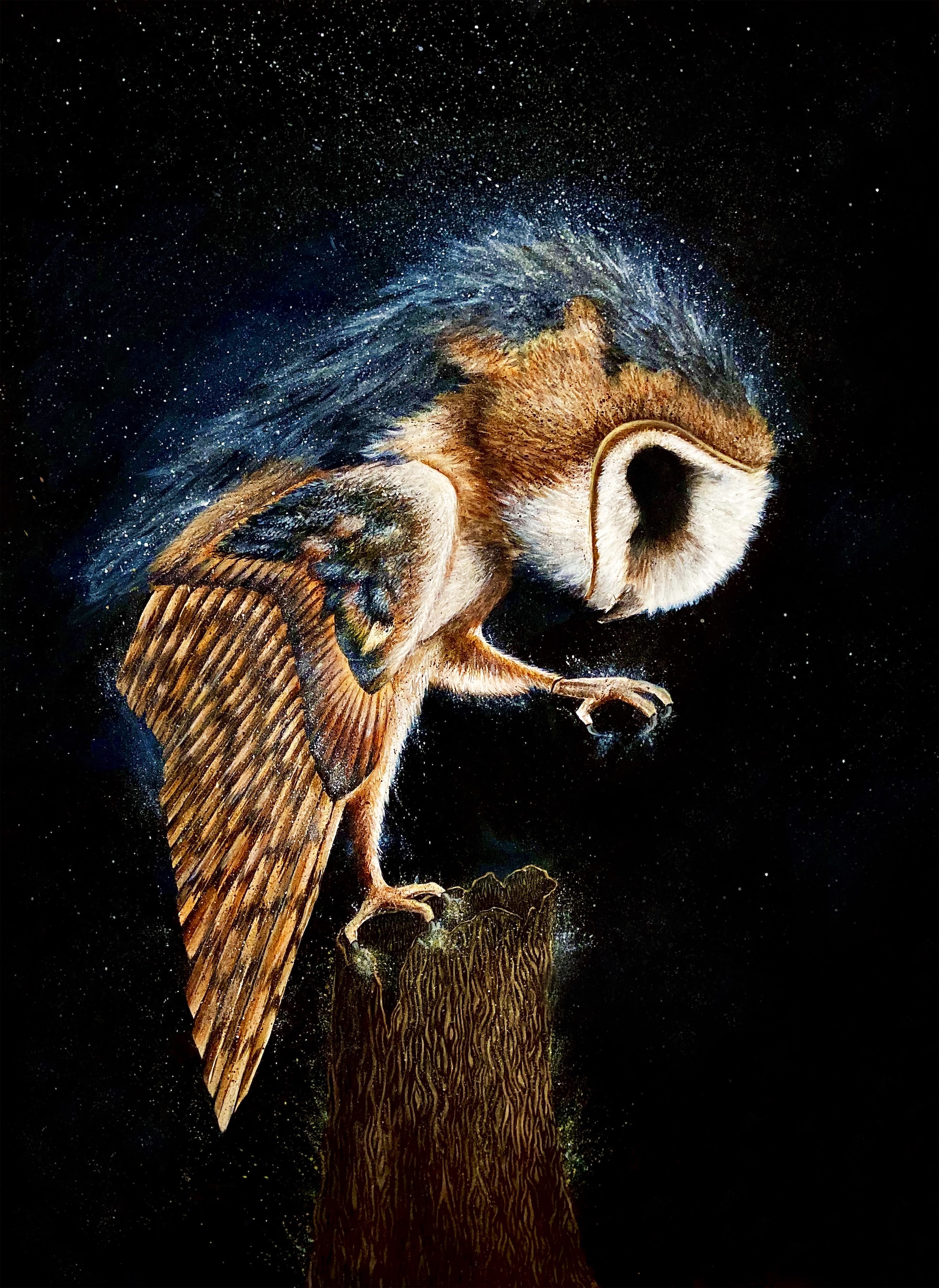 Owl