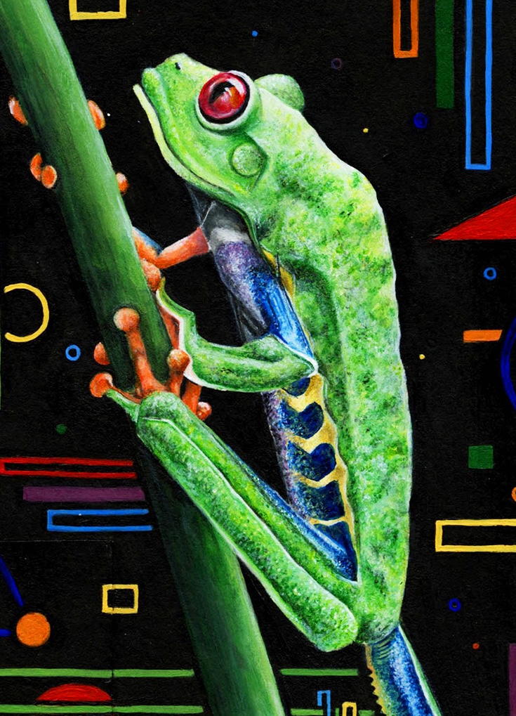 Red-Eyed Tree Frog thumbnail 2