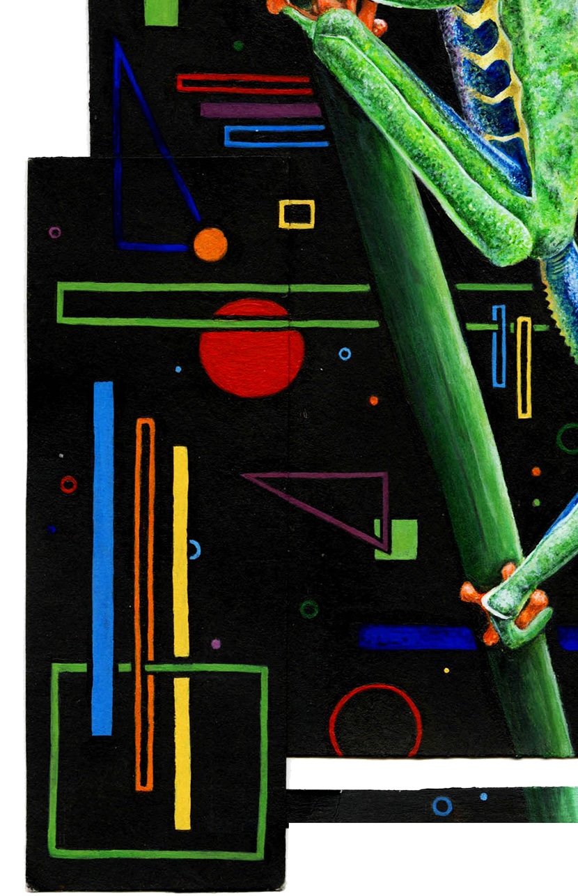 Red-Eyed Tree Frog thumbnail 5