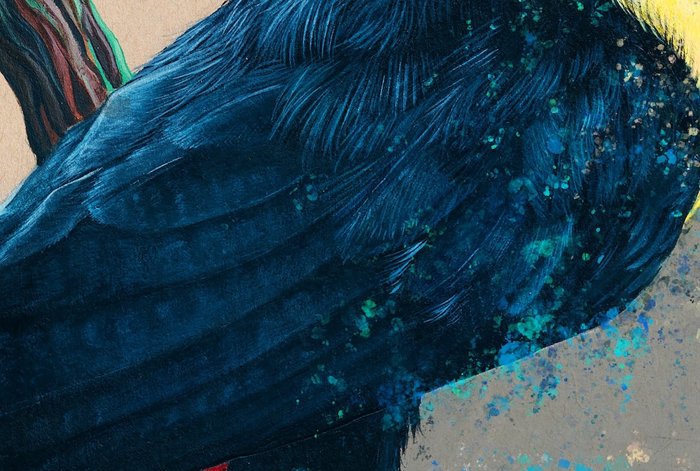 Toucan thumbnail 5
