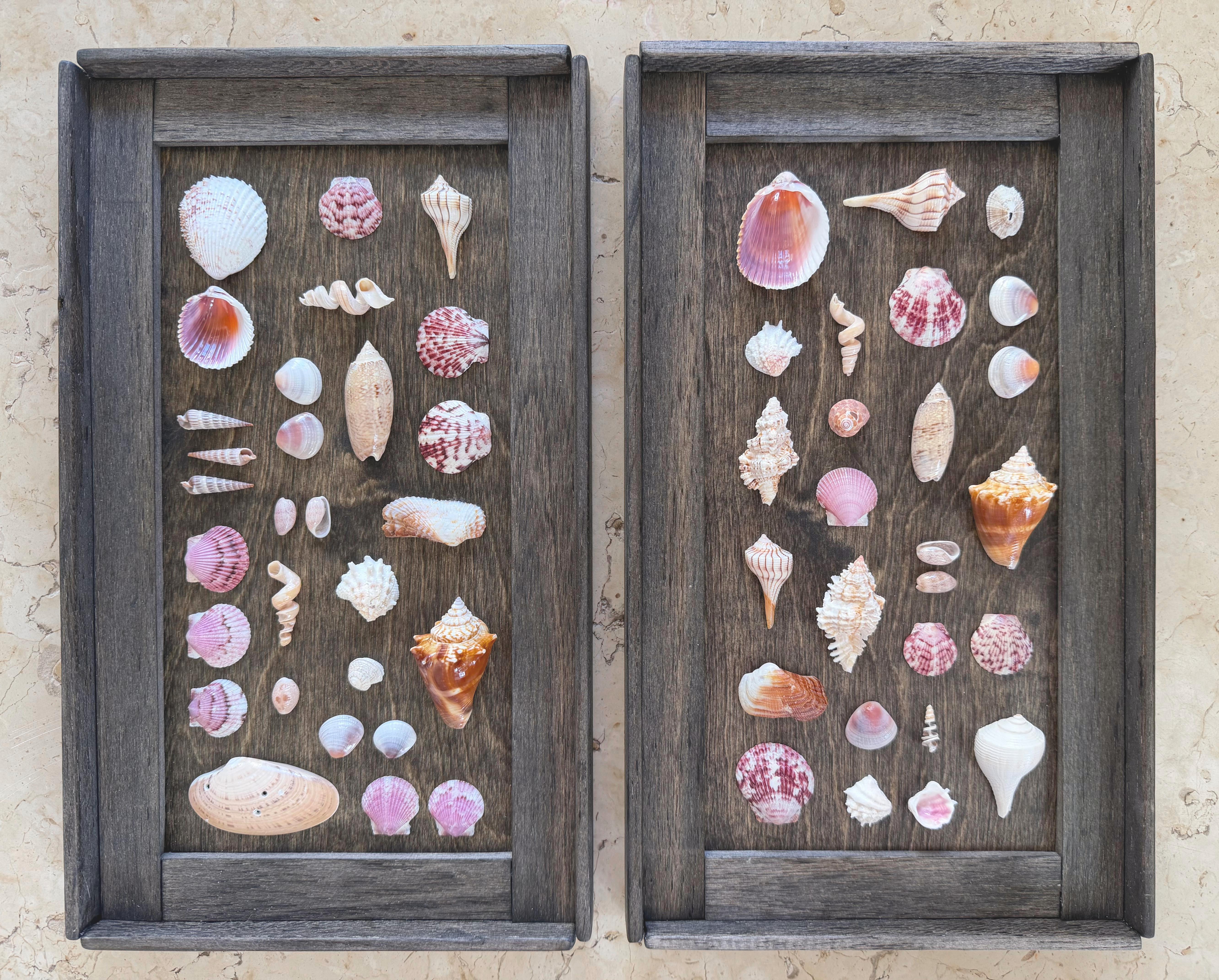 Pink Diptych